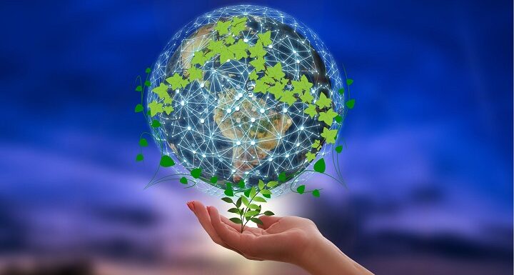 Il mondo green grazie alla digitalizzazione